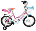 Electric Bicycles