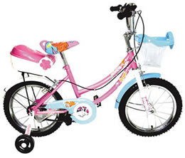 Electric Bicycles